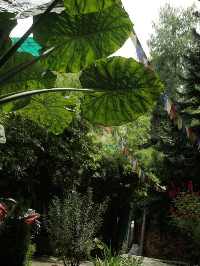 Nirvana Green Peace Home カトマンズ エクステリア 写真